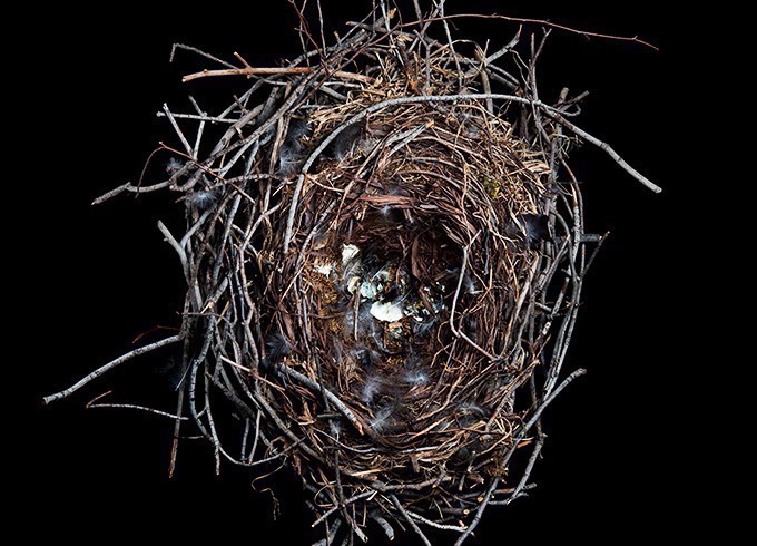 Nesting