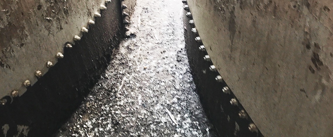 Bird droppings on grain silo