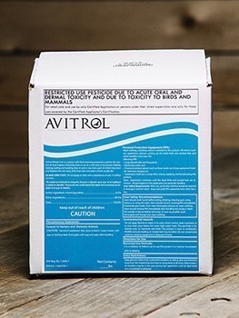 Avitrol Double Strength Whole Corn