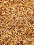 Avitrol Untreated Mixed Grains